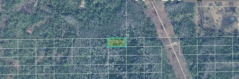 Dill Road Orlando FL 32820