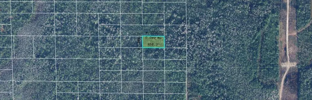 Dill Road Orlando FL 32820