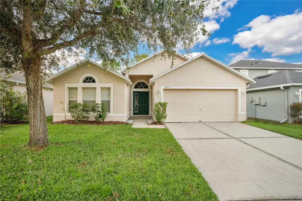 30143 Rattana Court Wesley Chapel FL 33545