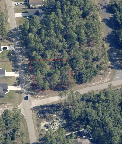 1951 W Adelia Place Citrus Springs FL 34434