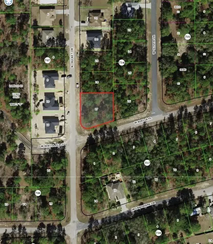 1951 W Adelia Place Citrus Springs FL 34434