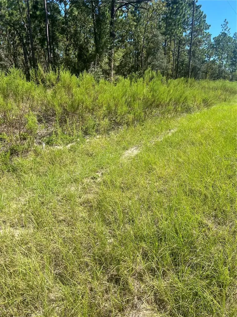 NW Sparrow Road Lot 39 Dunnellon FL 34431