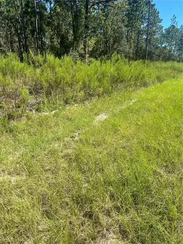 NW Sparrow Road Lot 39 Dunnellon FL 34431