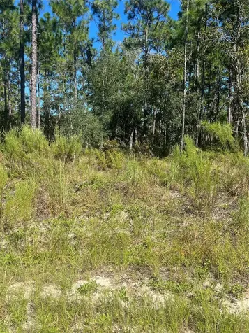 NW Sparrow Road Lot 39 Dunnellon FL 34431