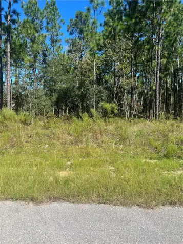 NW Sparrow Road Lot 39 Dunnellon FL 34431