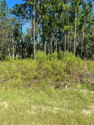 NW Sparrow Road Lot 39 Dunnellon FL 34431