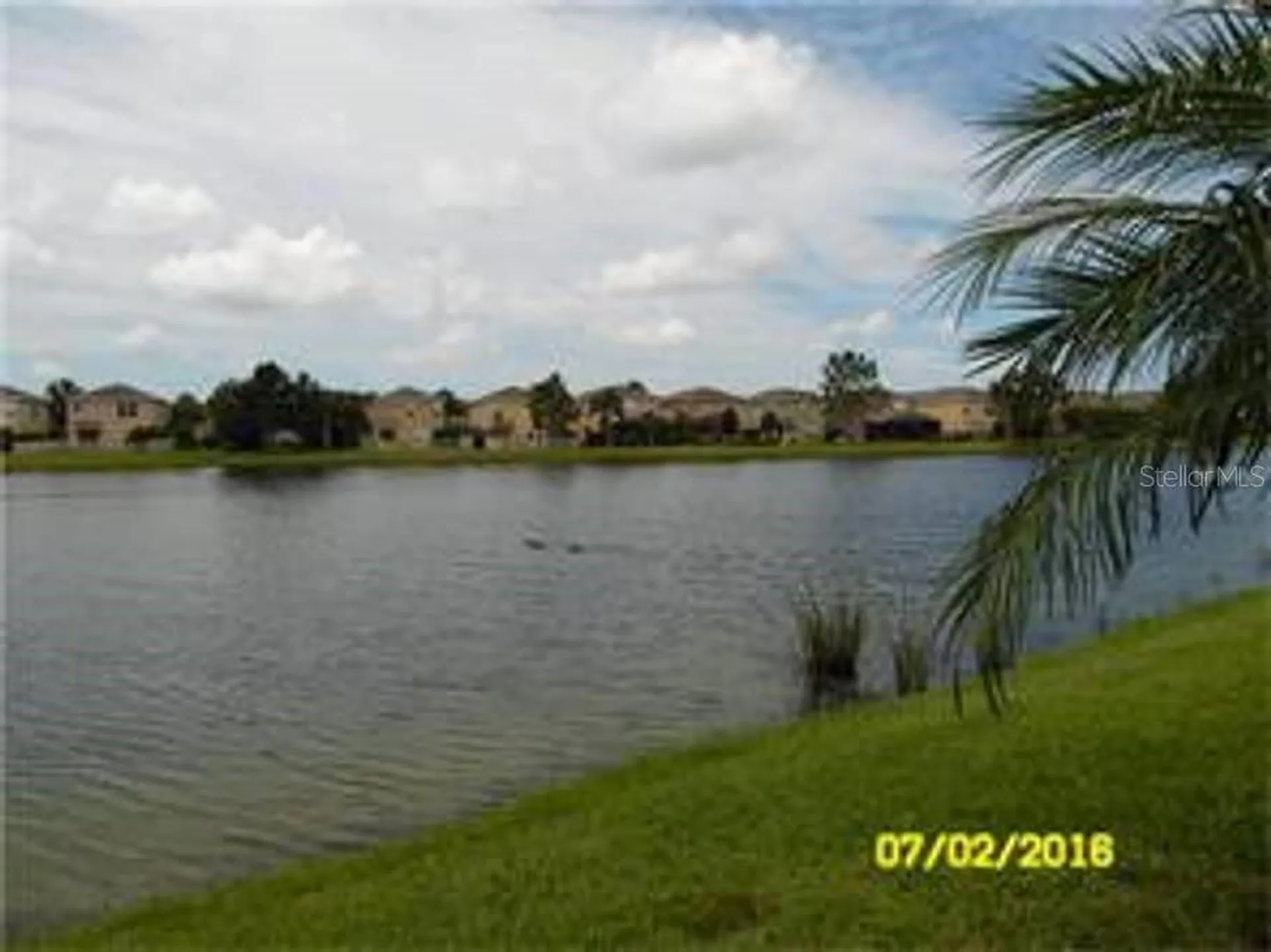 12959 Tigers Eye Drive Venice FL 34292