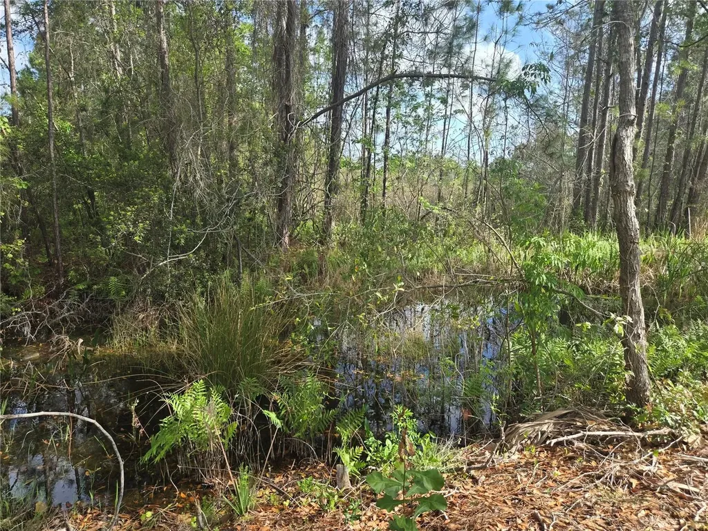 405 Long And Winding Road Howey In The Hills FL 34737
