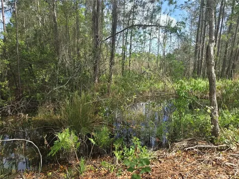 405 Long And Winding Road Howey In The Hills FL 34737