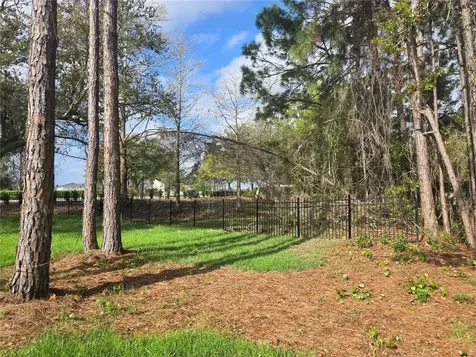 405 Long And Winding Road Howey In The Hills FL 34737
