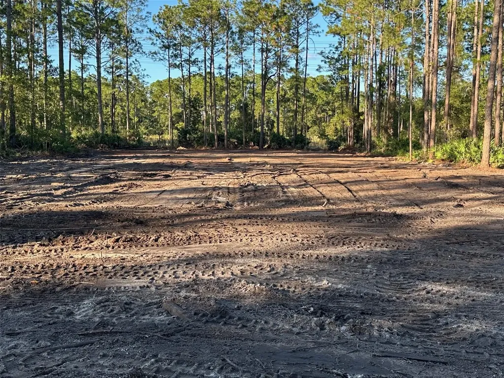 1090 Homestead Cove Geneva FL 32732
