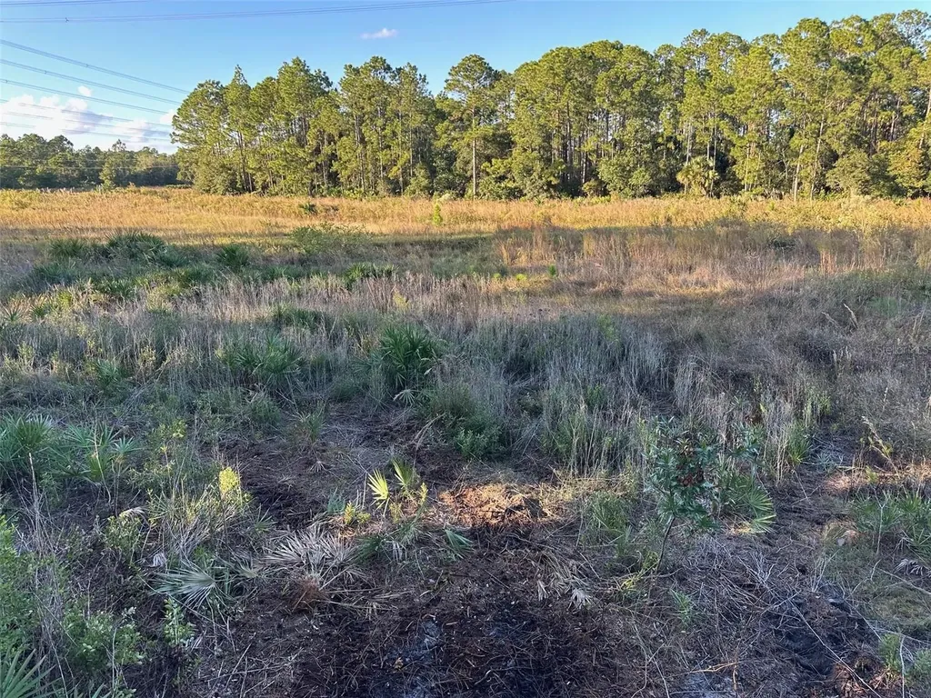 1090 Homestead Cove Geneva FL 32732