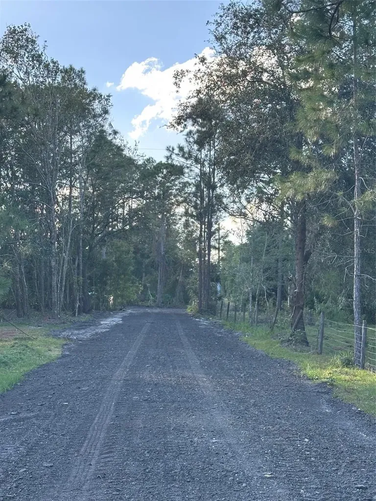 1090 Homestead Cove Geneva FL 32732