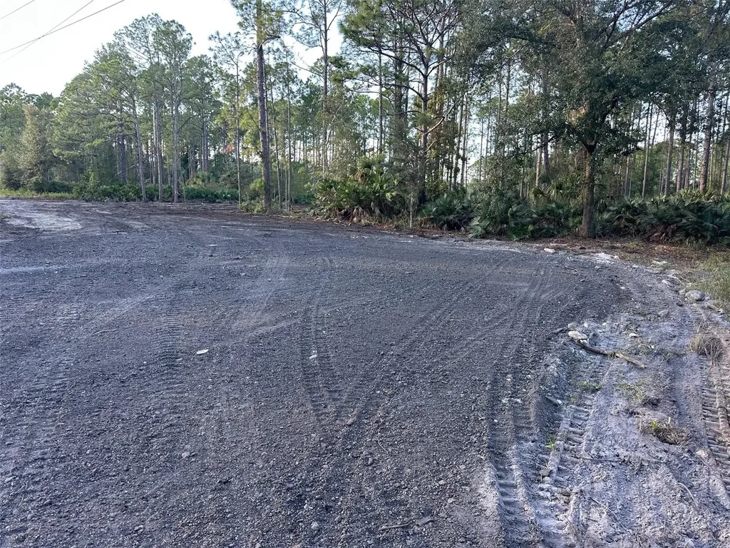 1090 Homestead Cove Geneva FL 32732