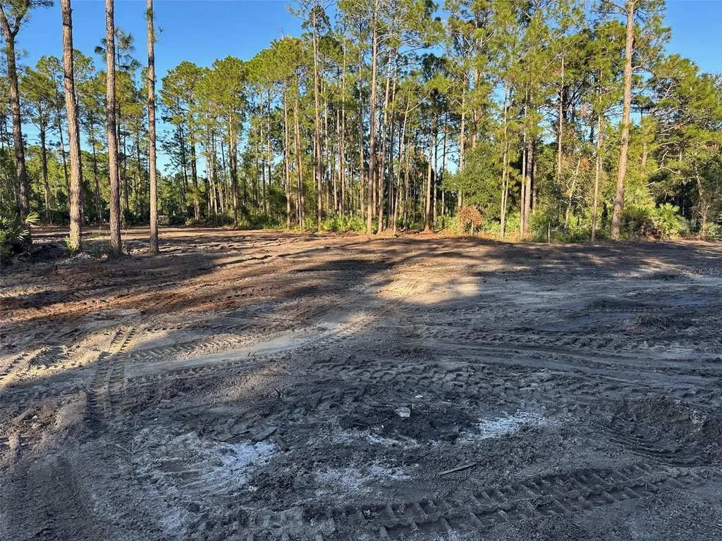 1090 Homestead Cove Geneva FL 32732