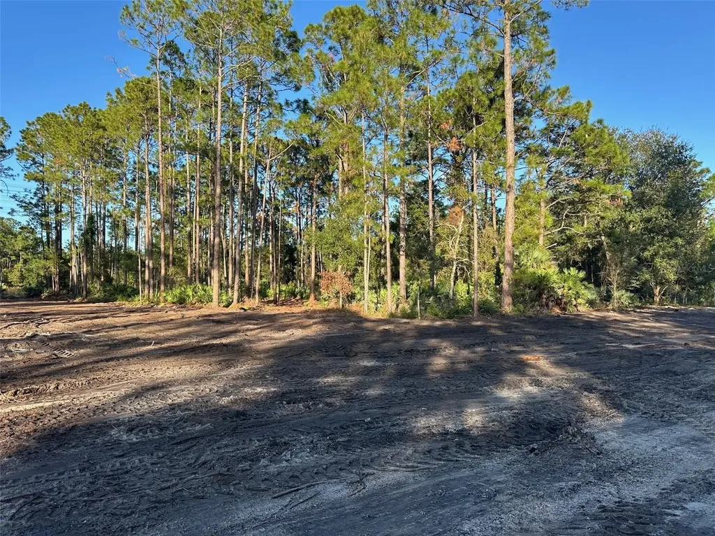1090 Homestead Cove Geneva FL 32732