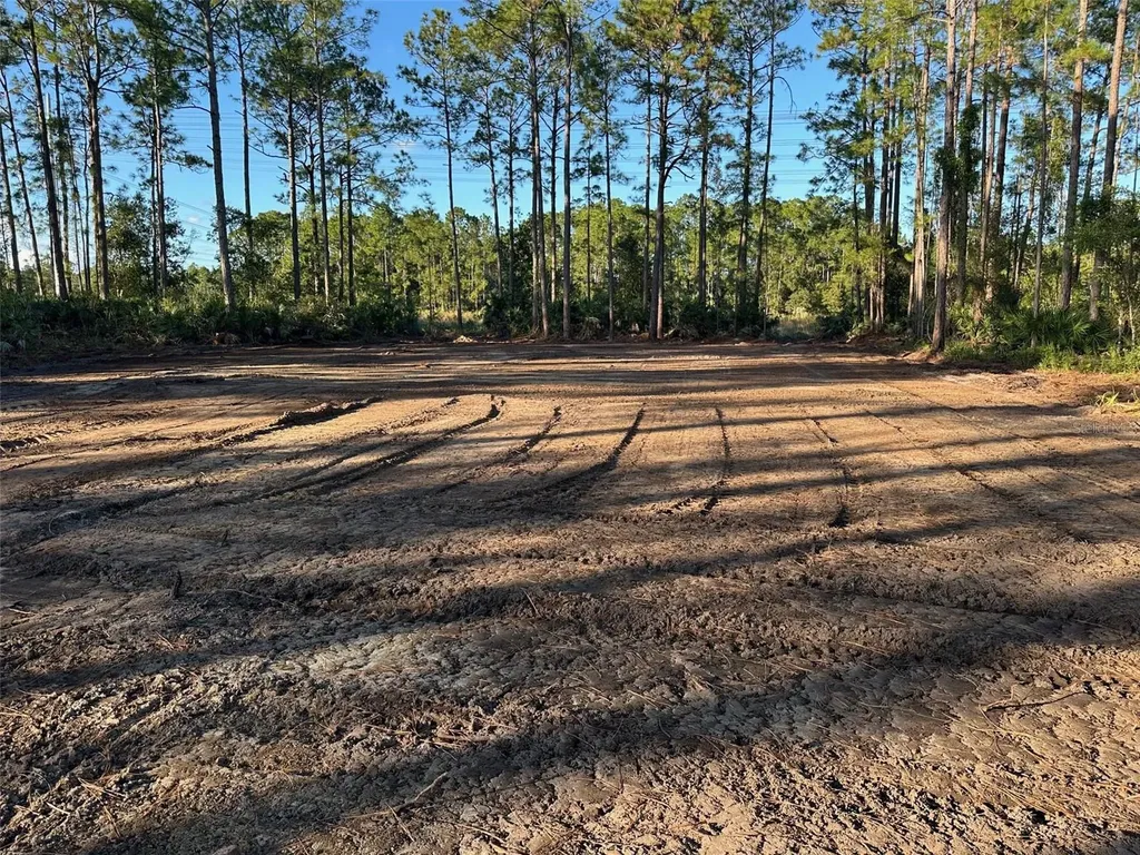1090 Homestead Cove Geneva FL 32732