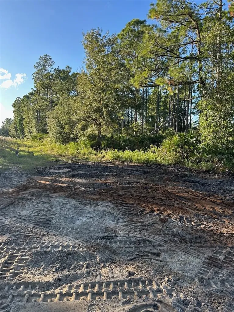 1090 Homestead Cove Geneva FL 32732