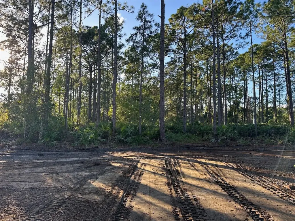 1090 Homestead Cove Geneva FL 32732