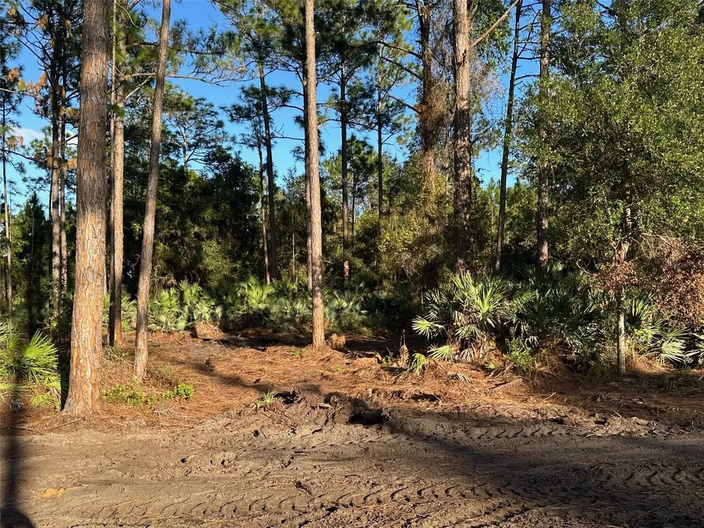 1090 Homestead Cove Geneva FL 32732