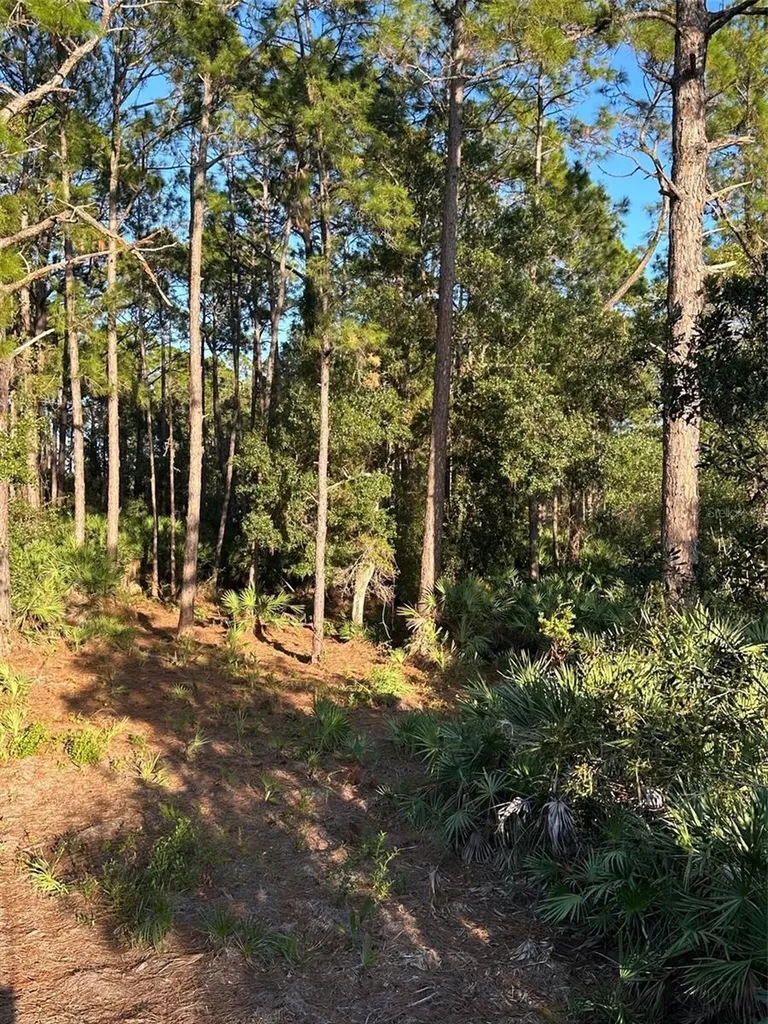 1090 Homestead Cove Geneva FL 32732