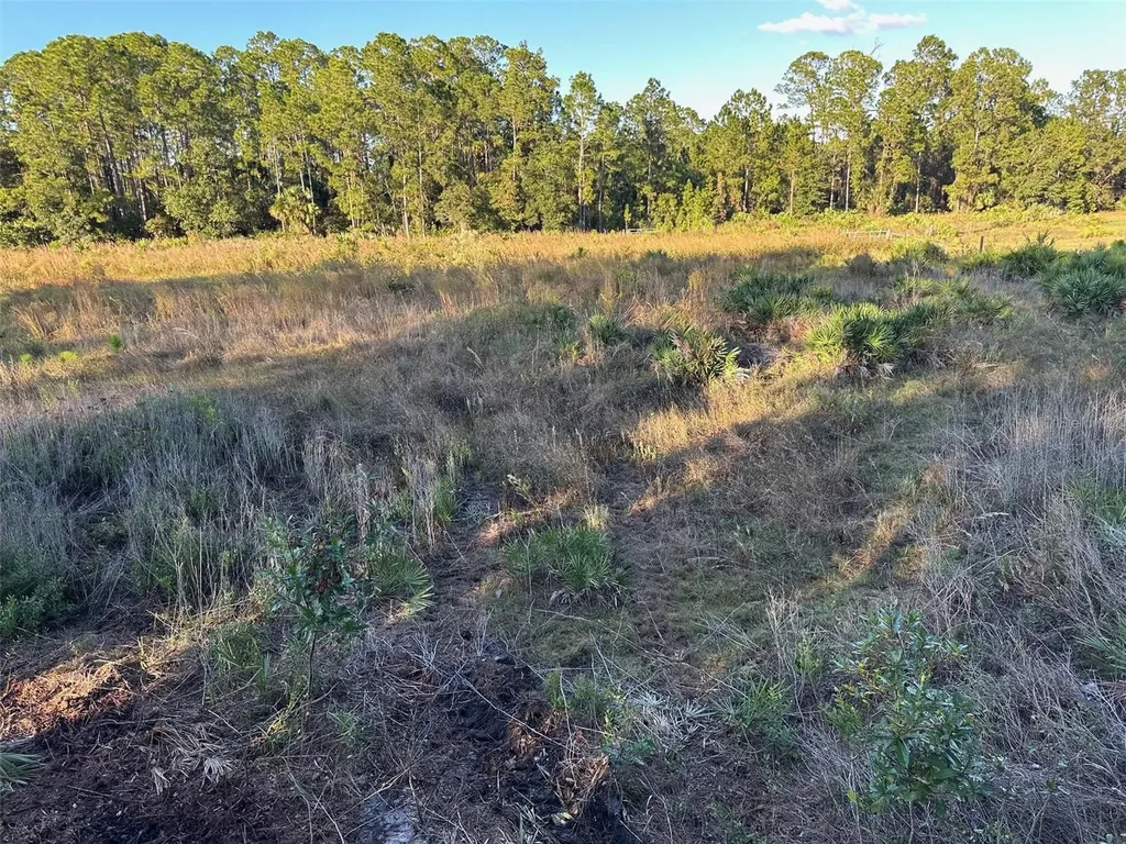 1090 Homestead Cove Geneva FL 32732