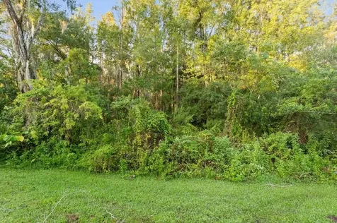 5516 Carrollwood Key Drive Tampa FL 33624