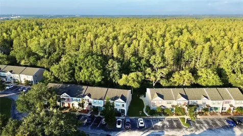 5516 Carrollwood Key Drive Tampa FL 33624
