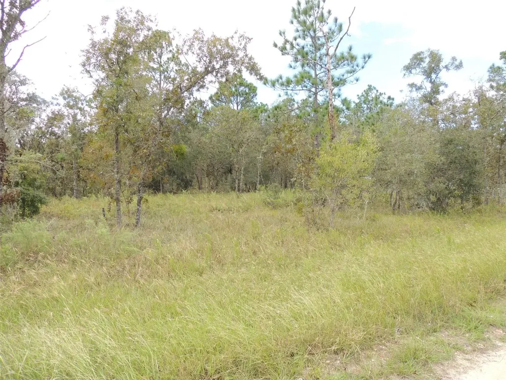 690 NE 135th Court Williston FL 32696