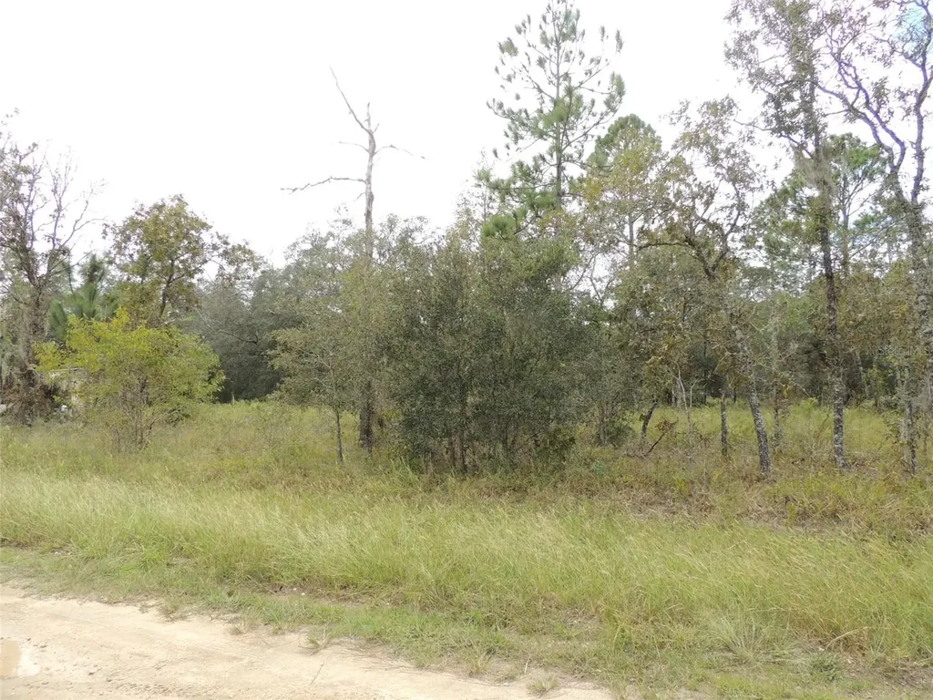 690 NE 135th Court Williston FL 32696