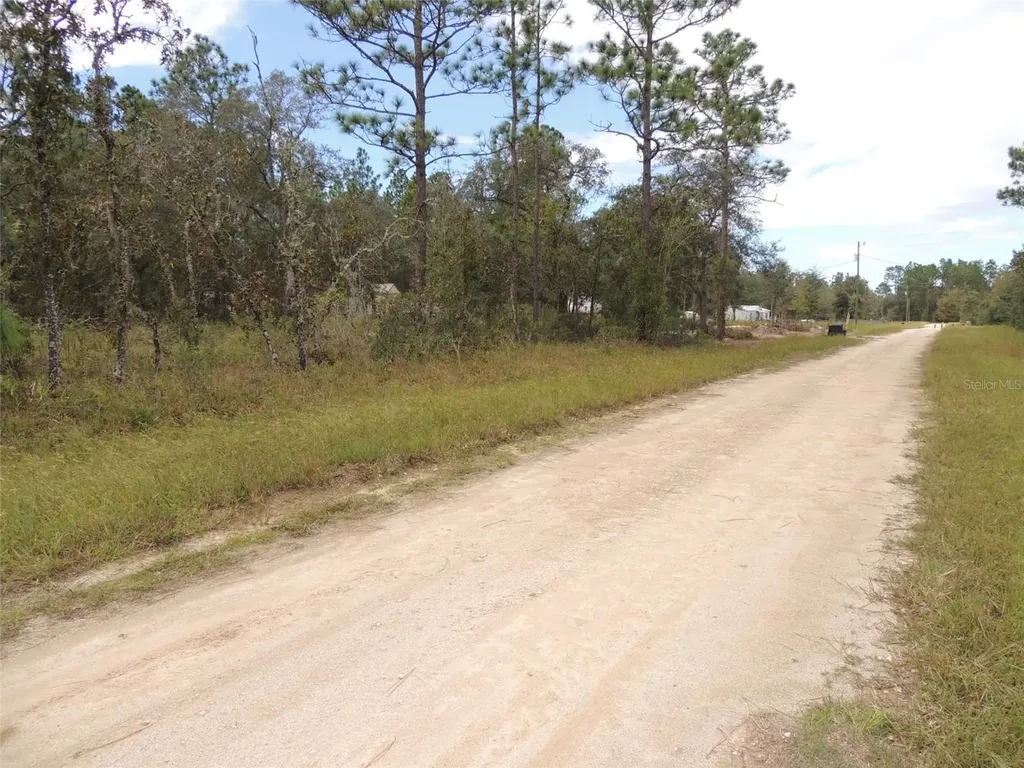 690 NE 135th Court Williston FL 32696