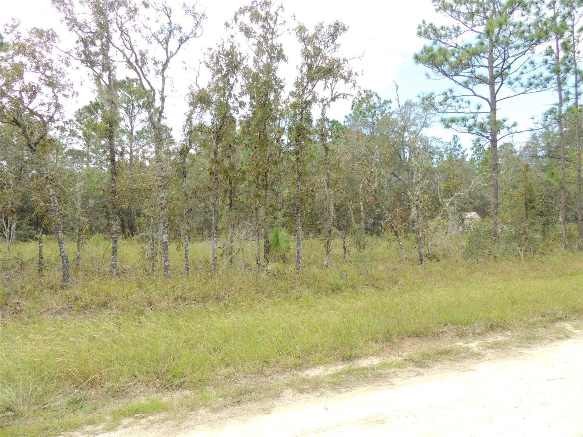 690 NE 135th Court Williston FL 32696