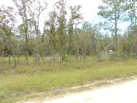 690 NE 135th Court Williston FL 32696