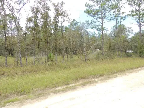 690 NE 135th Court Williston FL 32696