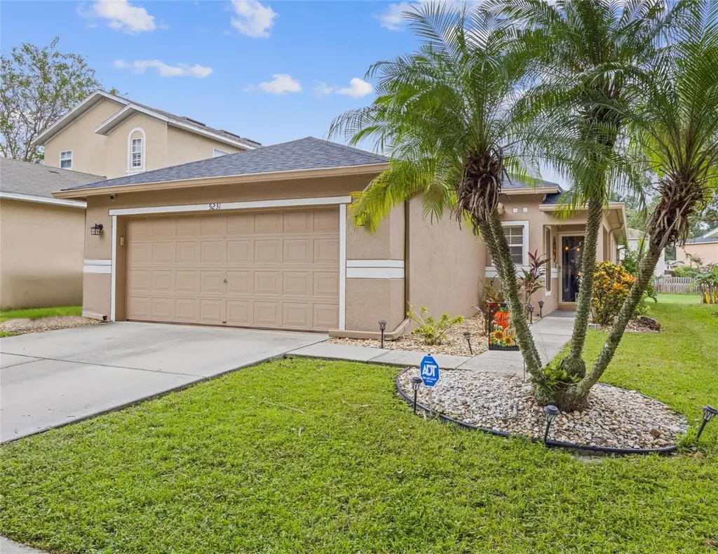 5231 Mango Fruit Street Seffner FL 33584