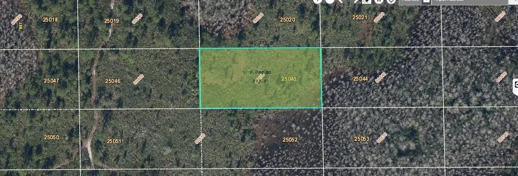 Dill Road Orlando FL 32820