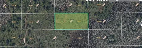 Dill Road Orlando FL 32820