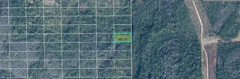 Dill Road Orlando FL 32820