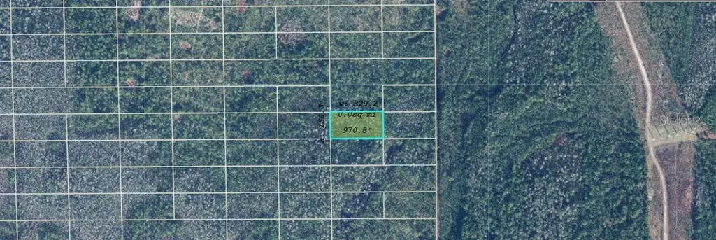 Dill Road Orlando FL 32820