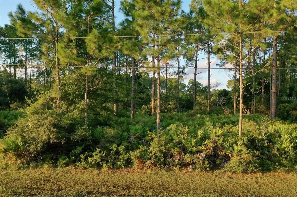 71 Sea Trail Palm Coast FL 32164