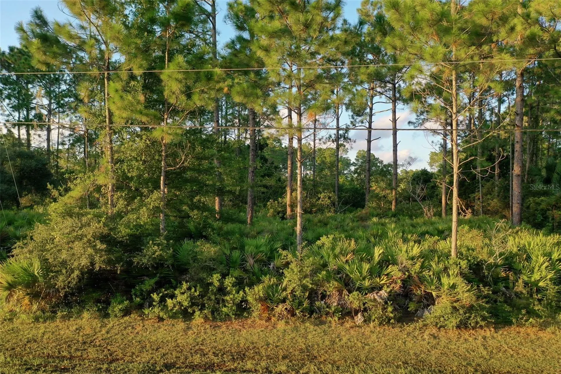 71 Sea Trail Palm Coast FL 32164