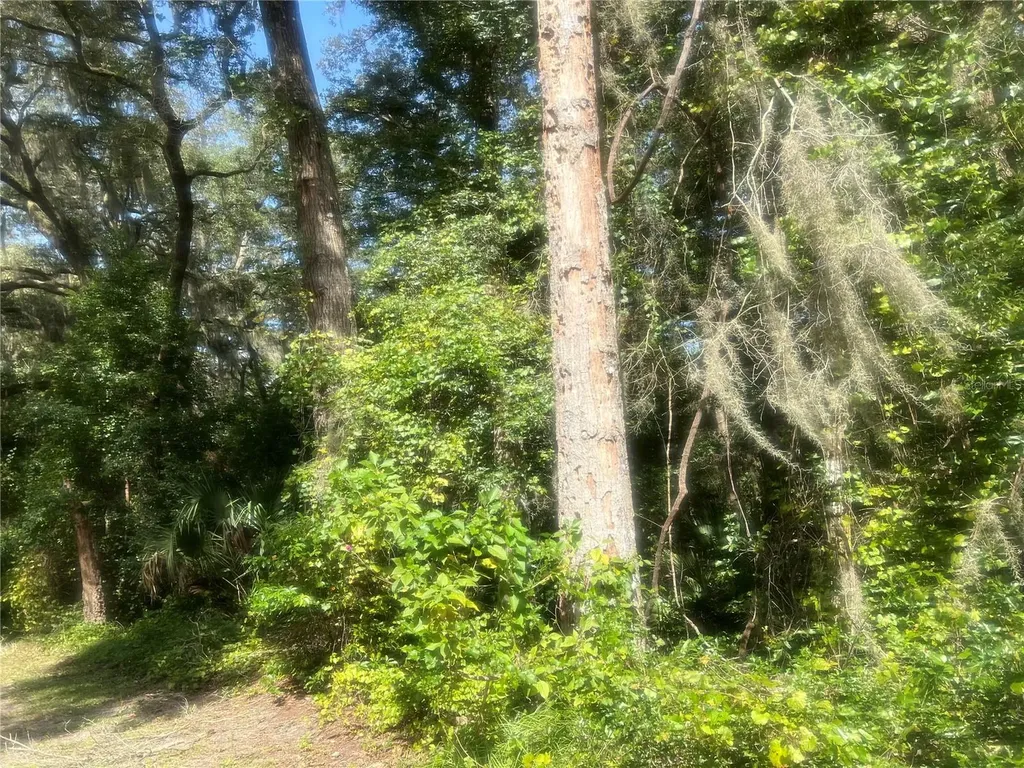 1215 Arredondo Grant Road De Leon Springs FL 32130