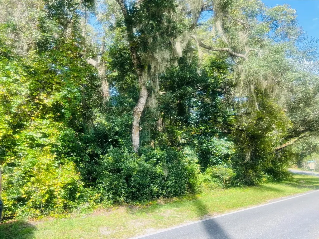 1215 Arredondo Grant Road De Leon Springs FL 32130