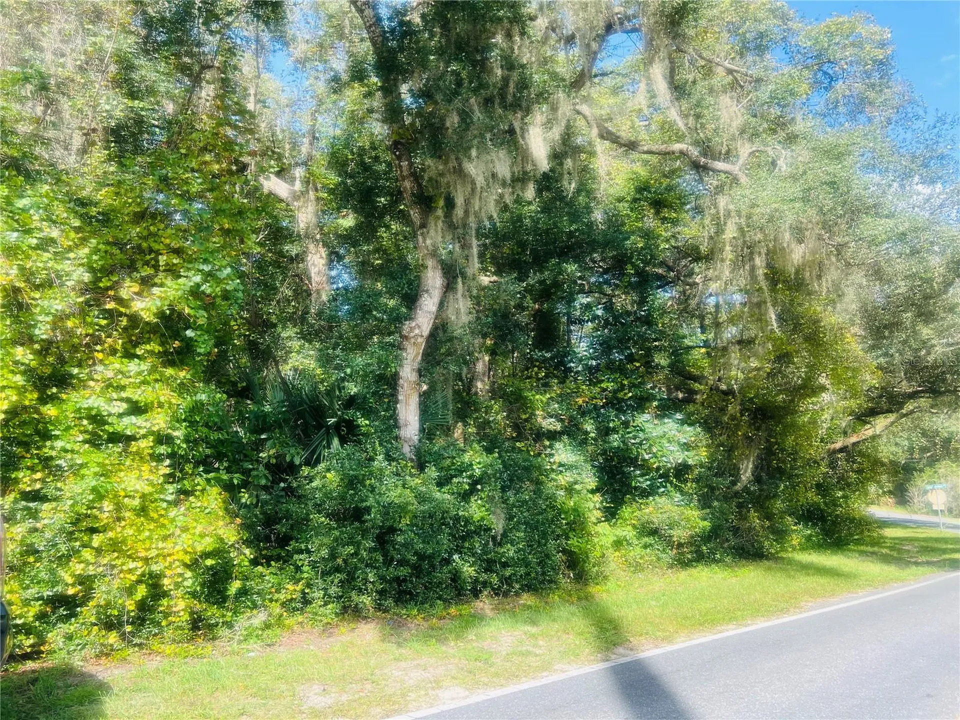 1215 Arredondo Grant Road De Leon Springs FL 32130