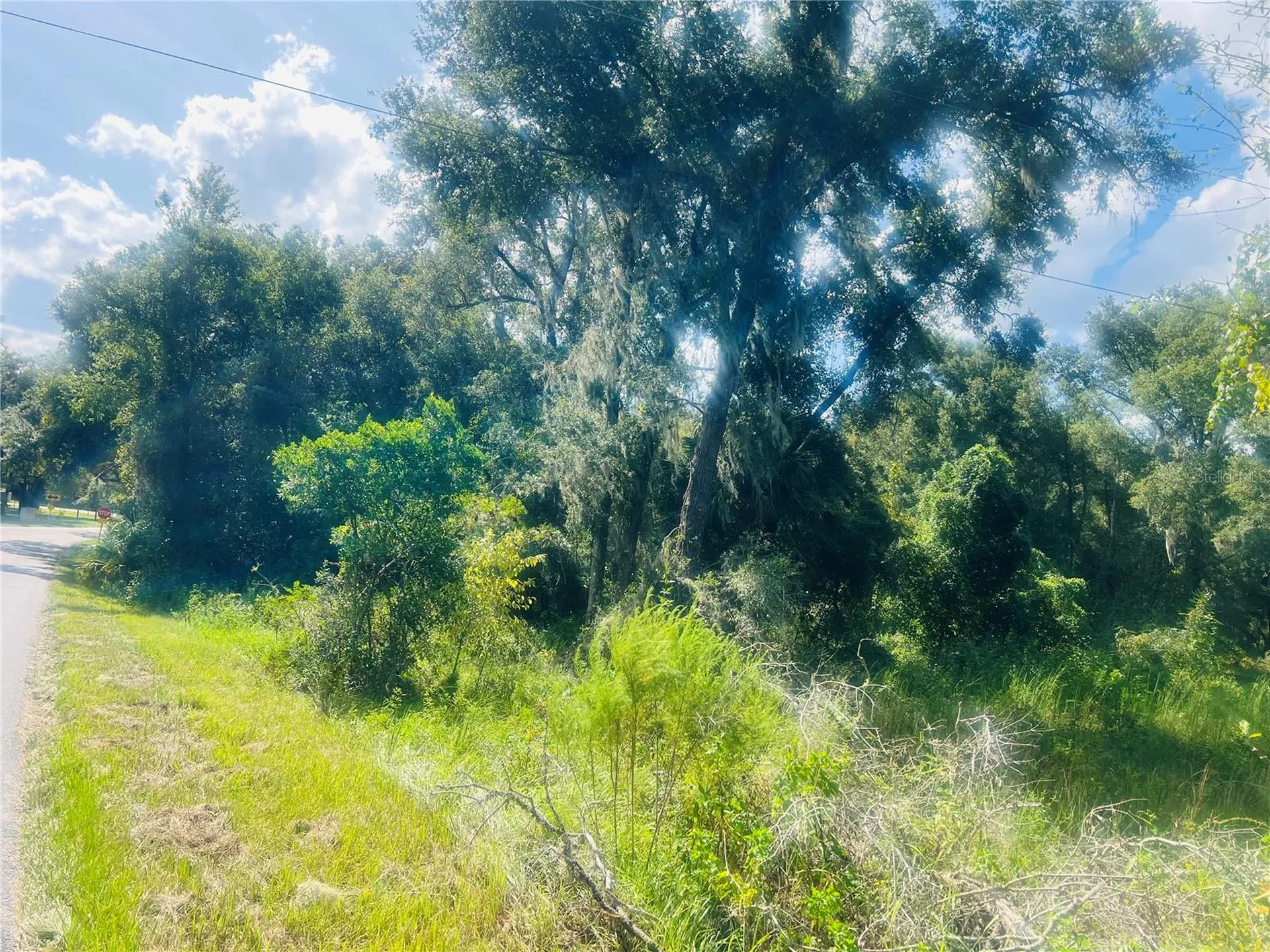 1215 Arredondo Grant Road De Leon Springs FL 32130