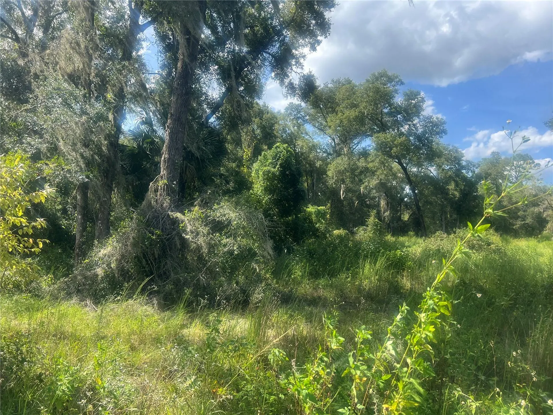 1215 Arredondo Grant Road De Leon Springs FL 32130
