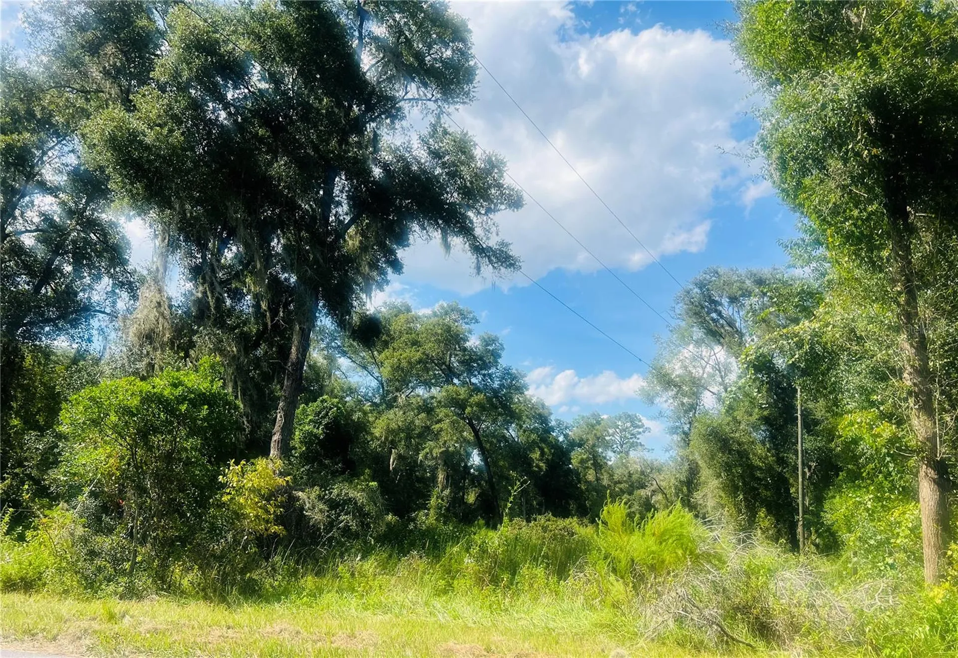 1215 Arredondo Grant Road De Leon Springs FL 32130