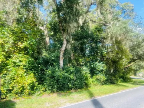 1215 Arredondo Grant Road De Leon Springs FL 32130