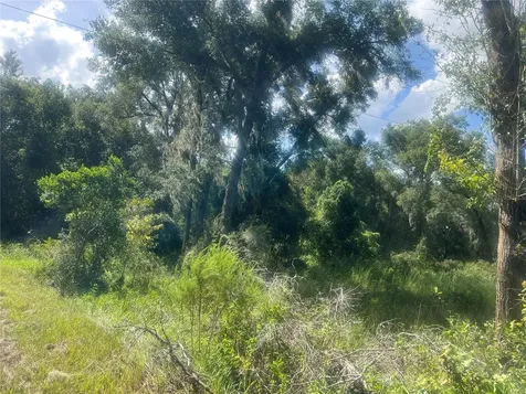 1215 Arredondo Grant Road De Leon Springs FL 32130
