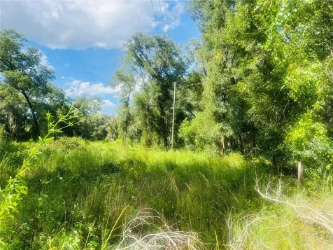 1215 Arredondo Grant Road De Leon Springs FL 32130